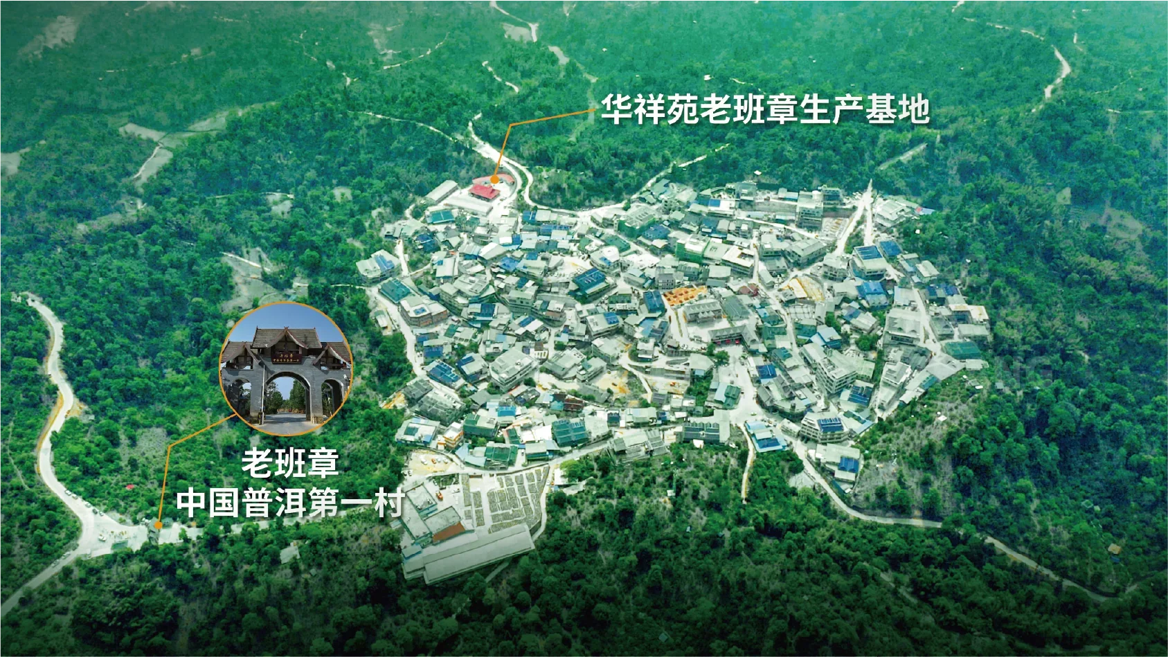 云南勐海普洱茶庄园实景